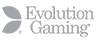 Evolution Gaming Logo